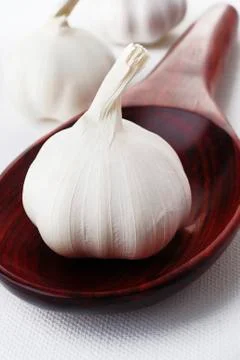Garlic Stock-Fotos