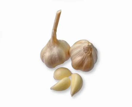 Garlic Stock Photos