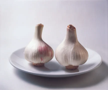 Garlic Stock Photos