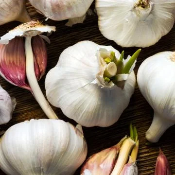 Garlic Stock Photos
