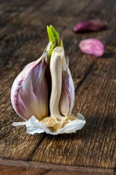 Garlic Foto stock