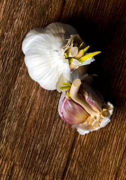 Garlic Stock Photos