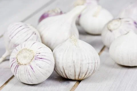 Garlic Foto stock