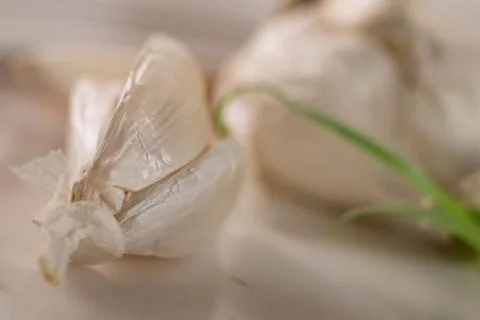 Garlic Foto stock