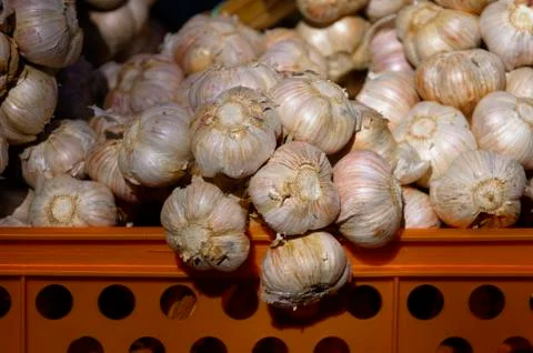 Garlic Stock Photos