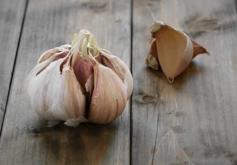 Garlic Stock Photos