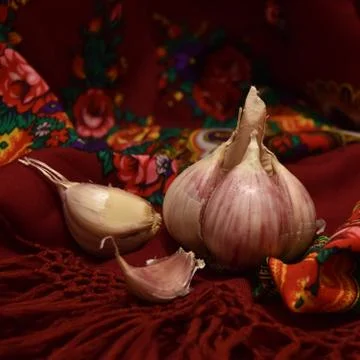 Garlic Stock Photos