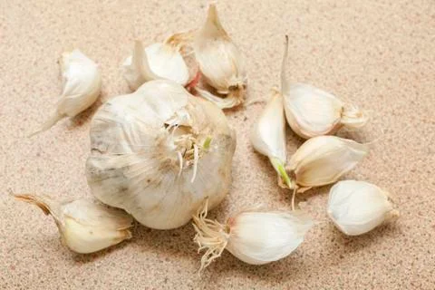 Garlic Stock Photos