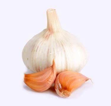 Garlic Stock Photos