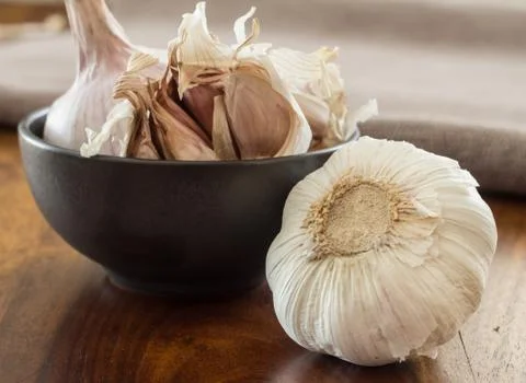 Garlic. Stock Photos