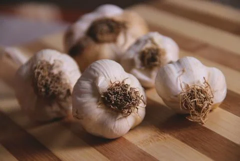 Garlic 스톡 사진