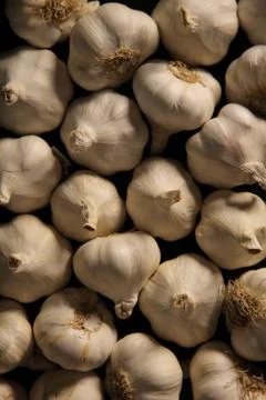 Garlic Stock Photos