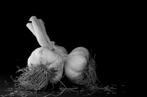 Garlic Stock Photos