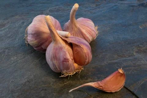 Garlic Stock Photos