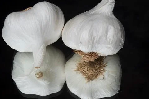 Garlic Foto stock