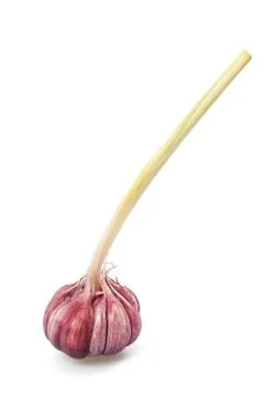 Garlic Foto stock