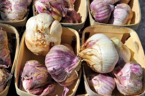 Garlic Stock Photos