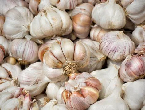 Garlic Stock Photos
