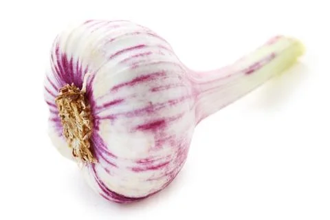 Garlic Stock Photos