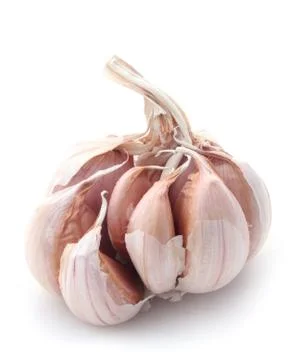 Garlic Stock Photos