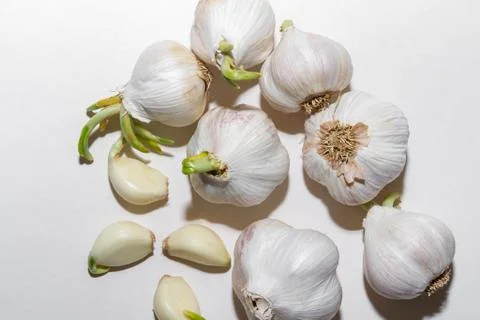 Garlic Stock Photos