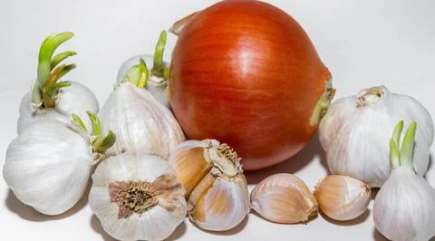 Garlic Stock Photos