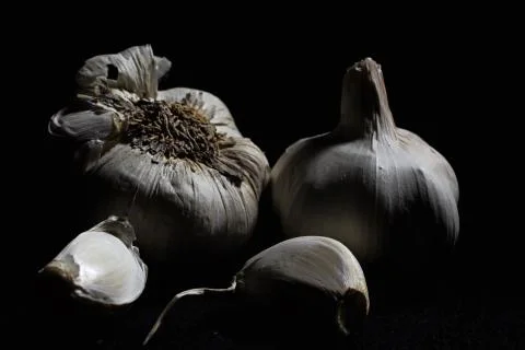 Garlic Stock Photos