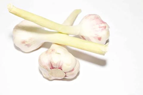 Garlic Fotos de archivo