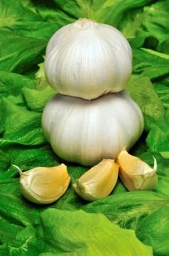 Garlic Stock Photos