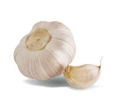 Garlic Stock Photos