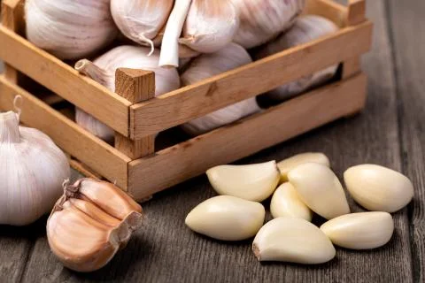 Garlic Stock Photos