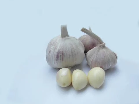 Garlic Stock Photos