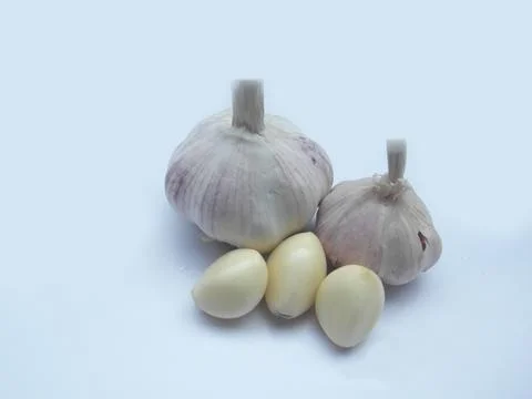 Garlic 写真素材