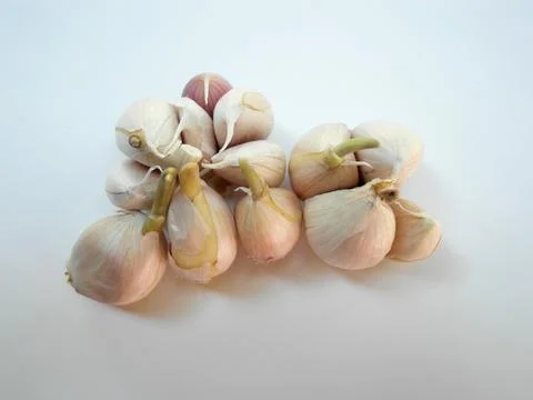 Garlic Stock Photos