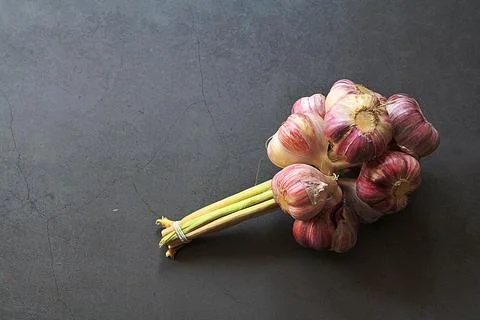 Garlic Stock Photos