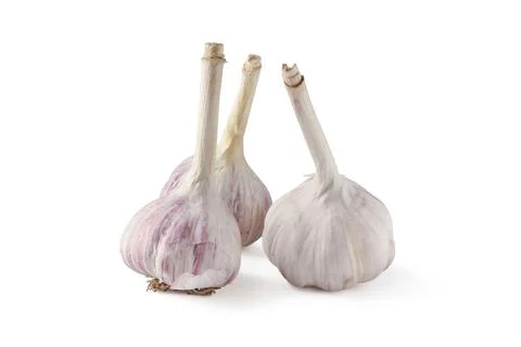 Garlic Stock Photos