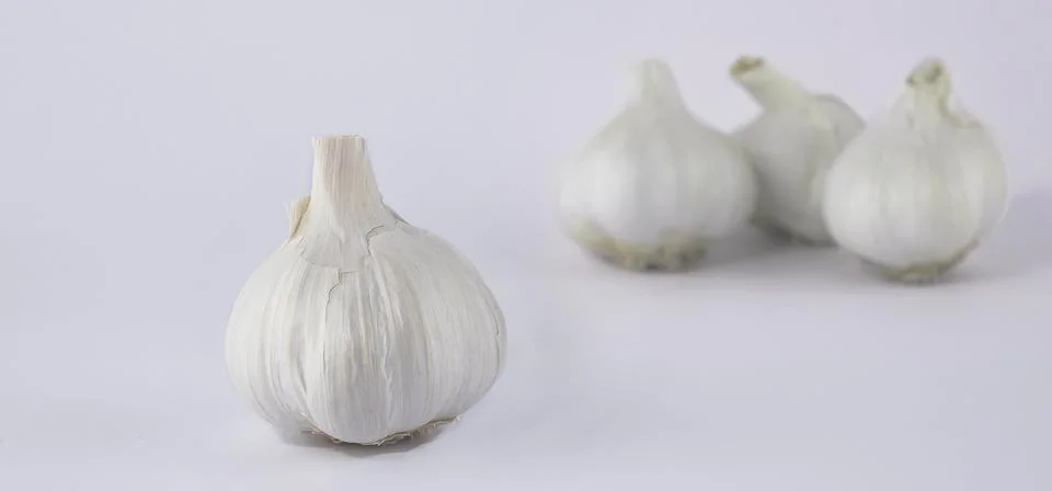 Garlic Stock Photos