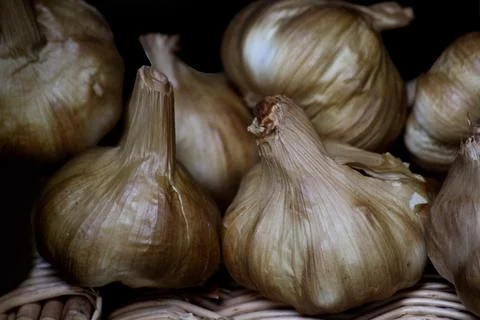 Garlic Stock Photos