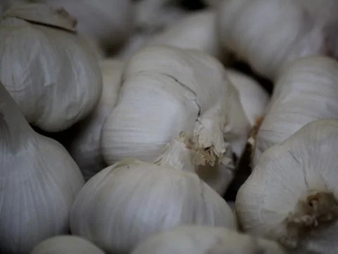 Garlic Stock Photos