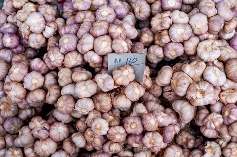 Garlic Stock Photos