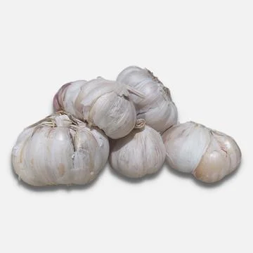 Garlic Stock Photos