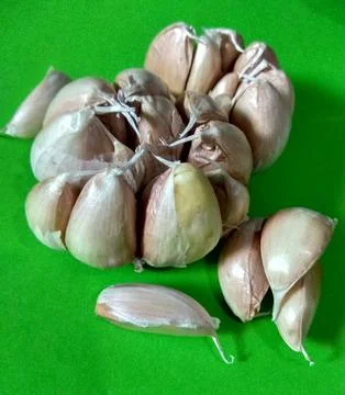 Garlic Stock-Fotos