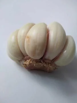 Garlic Stock Photos