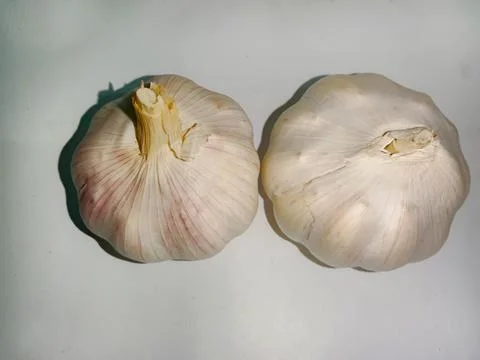 Garlic Stock Photos