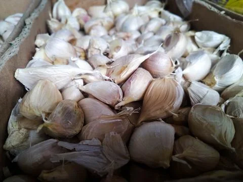 Garlic Stock Photos