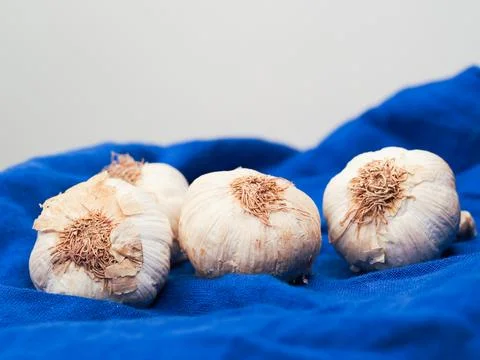 Garlic Stock Photos