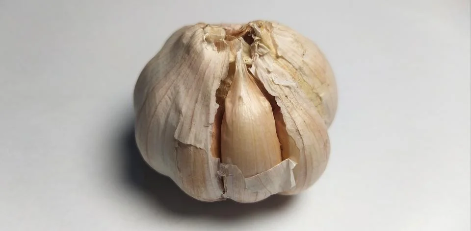 Garlic Stock Photos