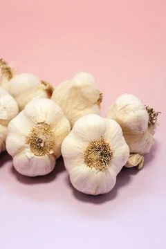 Garlic Stock Photos