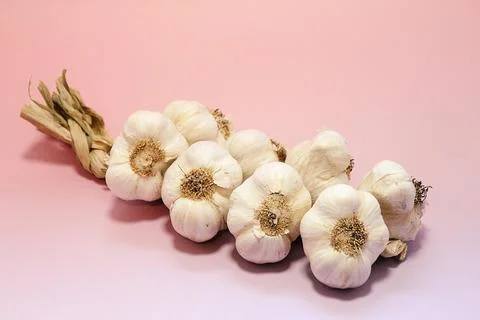Garlic Stock Photos