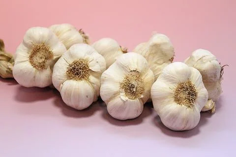 Garlic Foto stock